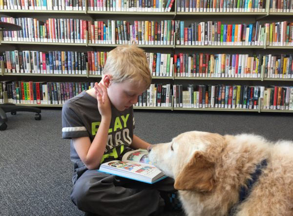 对于孩子来说给狗读书比给人读书进步更大